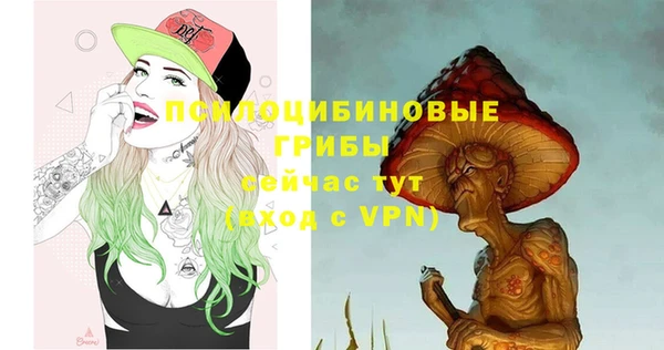 таблы Верея