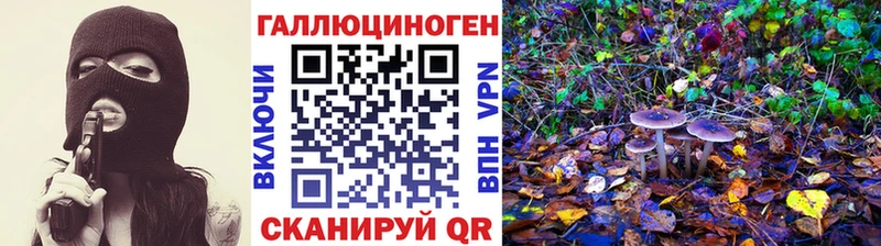 Псилоцибиновые грибы Cubensis  hydra маркетплейс  Ленинградская  закладка 